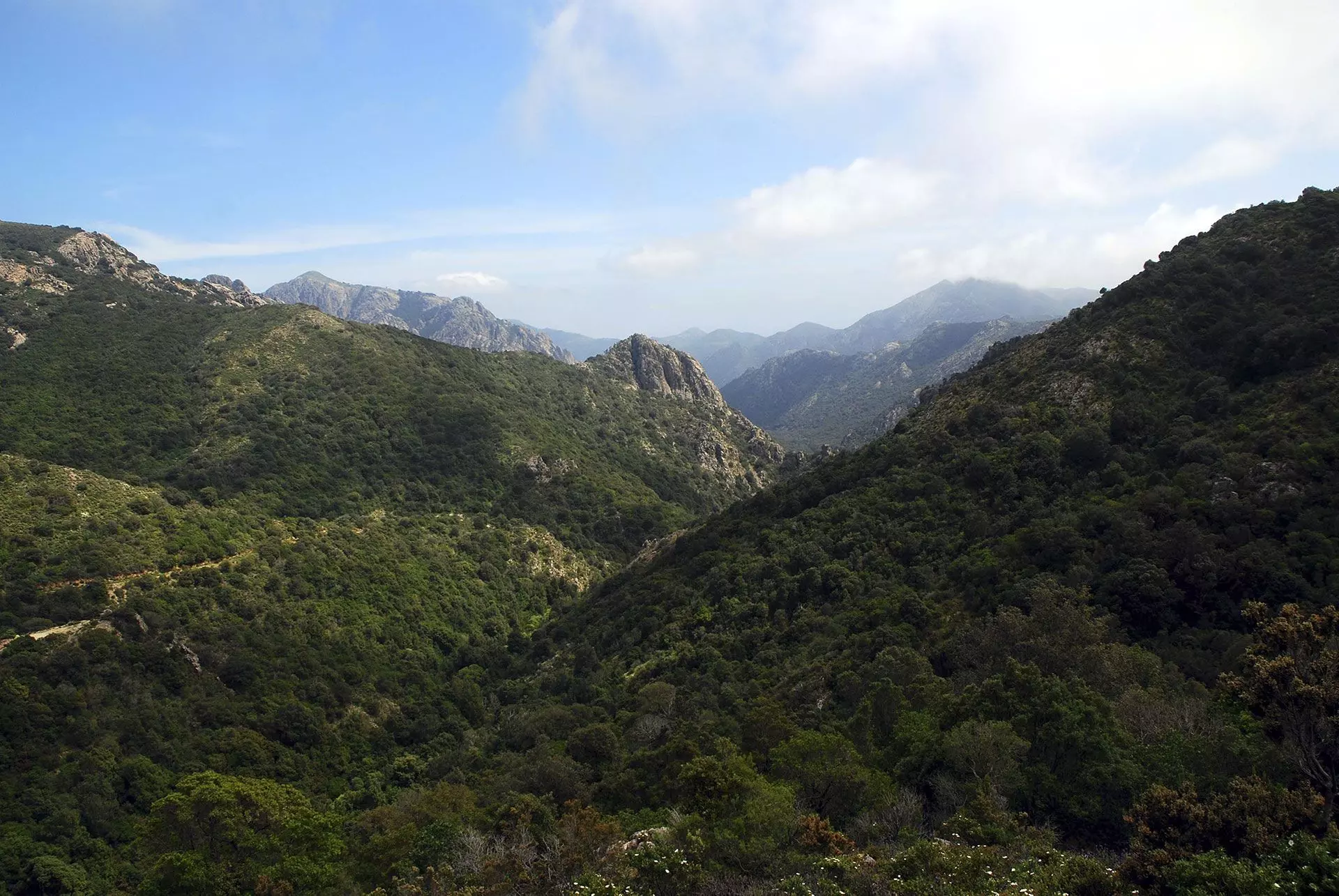 Monte Linas (foto Ivo Piras)