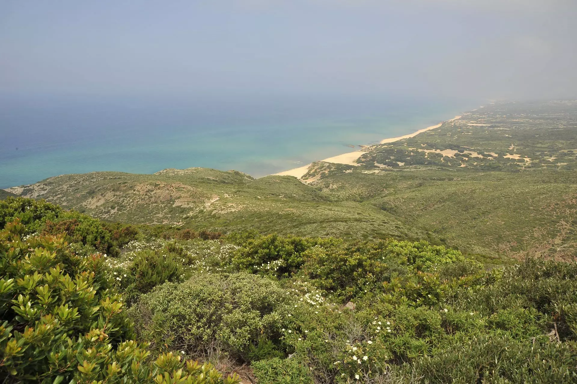 Oasi WWF Scivu (foto Ivo Piras)