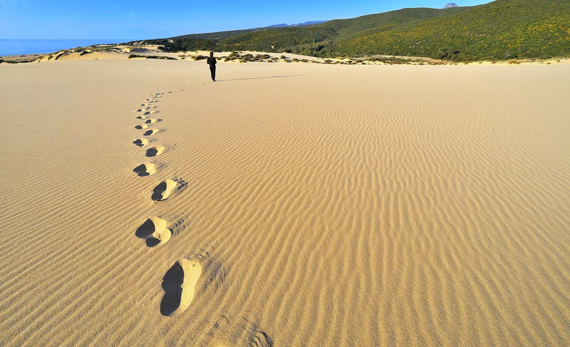 Dune di Piscinas (foto Ivo Piras)